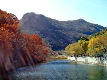 新澳天天开奖资料大全旅游团，锐志 论坛